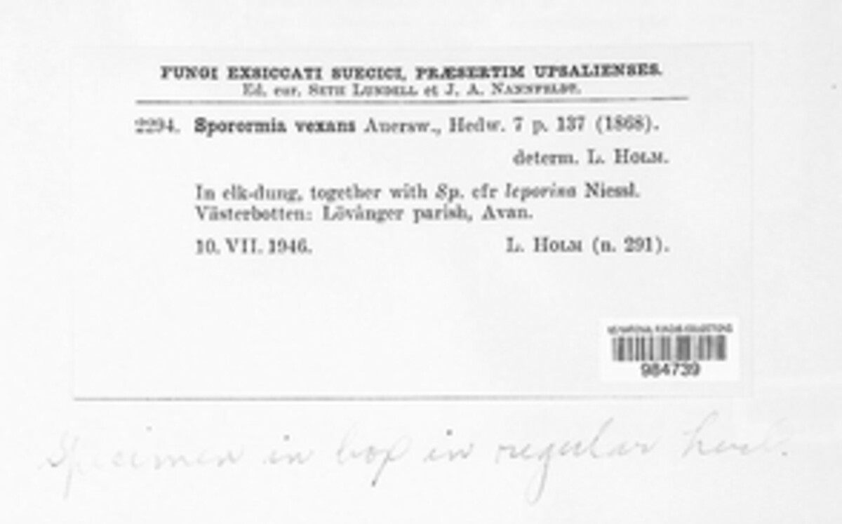 Sporormiella image